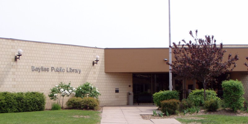 Bayliss Library Carousel.jpg