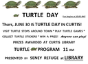 turtle day at curtis.PNG