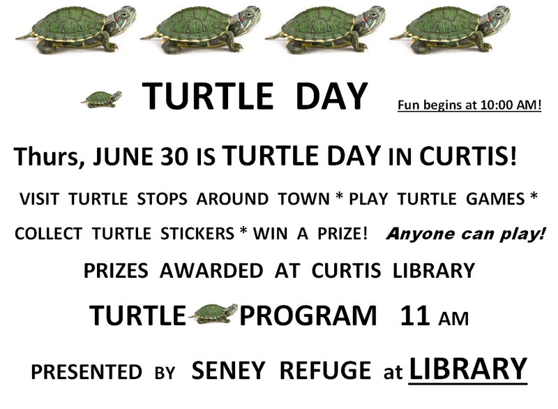 turtle day at curtis.PNG